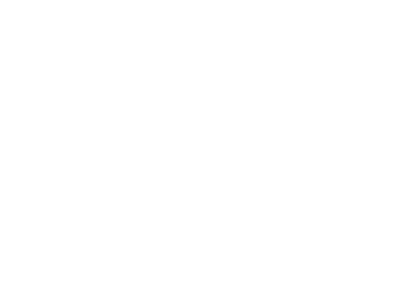 Your Company